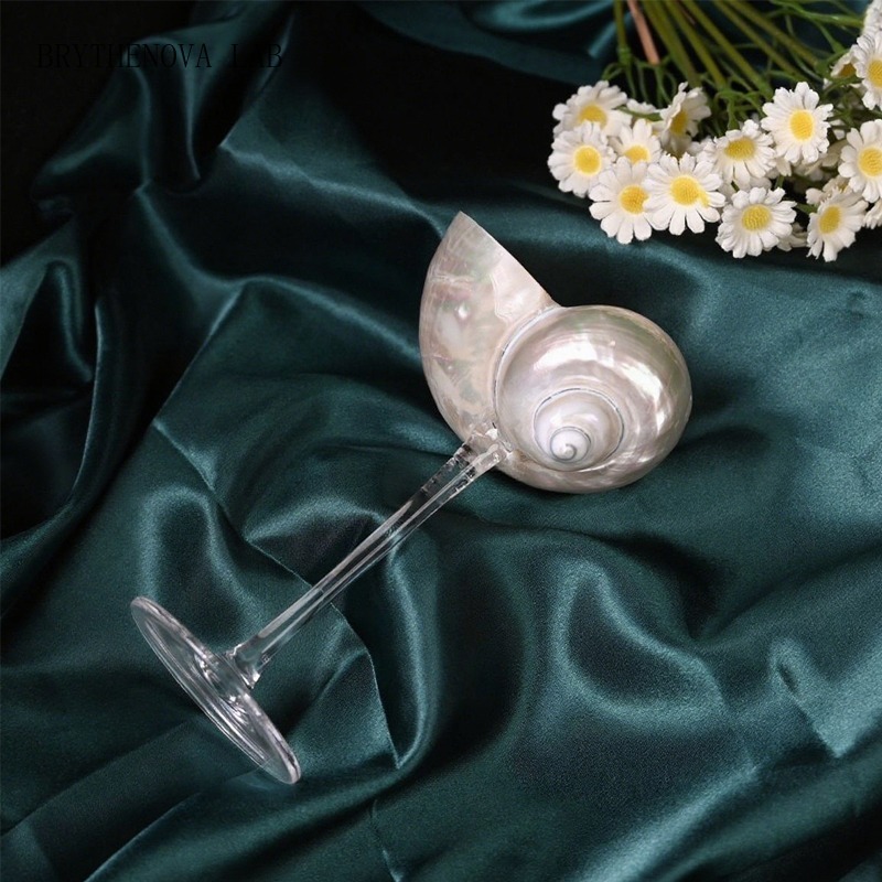 Lighting Glass Photography - Taça de Champanhe em Concha de